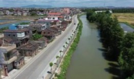 新会区大鳌镇爆料事件最新,真相揭开，悬念揭晓！